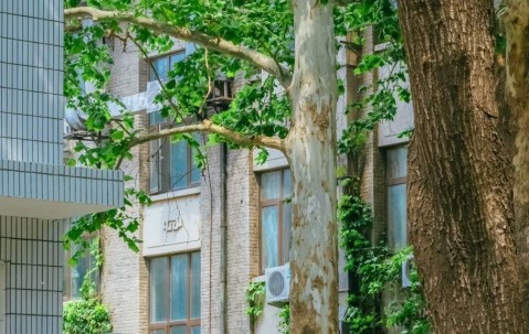 北京林业大学(北京林业大学录取分数线)