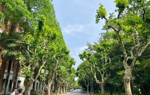 同济大学(同济大学排名全国第几)