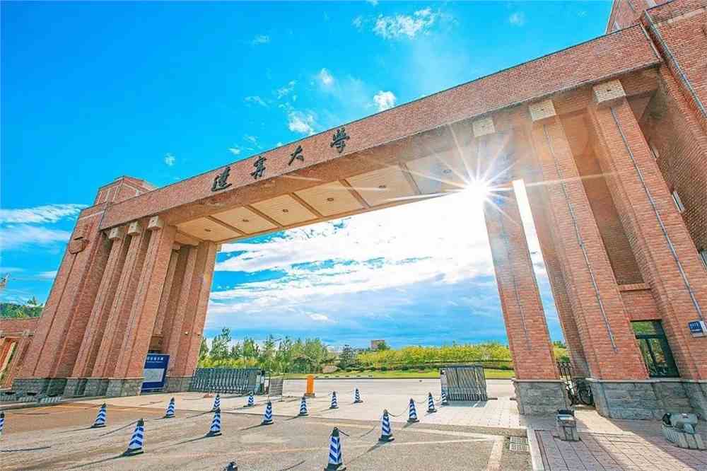 辽宁大学(辽宁大学官网)