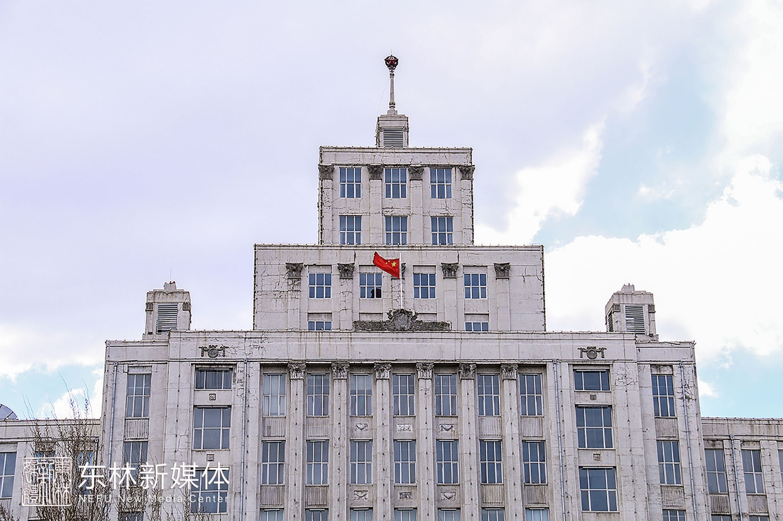 东北林业大学文凭(东北林业大学含金量高吗)